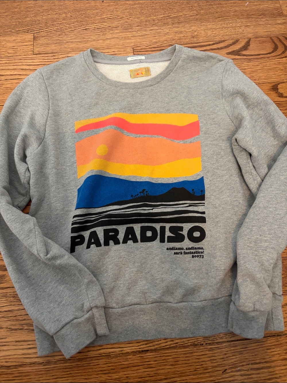 MOTHER Gray Crewneck with Colorblock Sunset Graphic